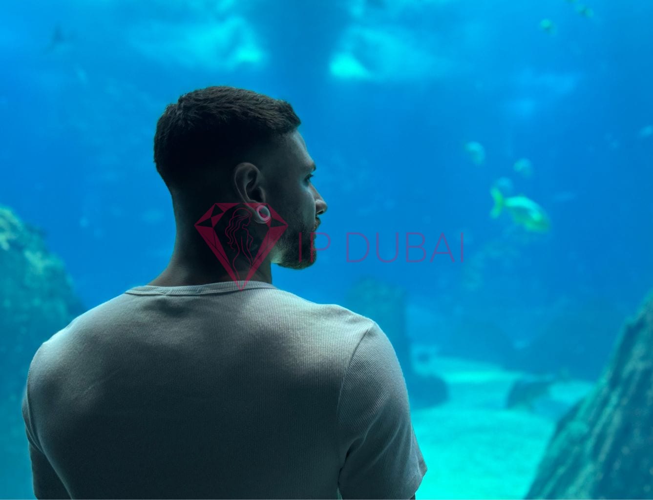 Lucas, 28, Latina, in Deira, Dubai, from AED 13,500 an hour, speaks Spanish and Portuguese — photo 22 of 36