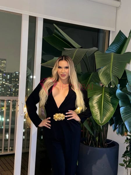 Paloma, 26, Latina, in Al Nahda Dubai, Dubai, from AED 2,200 an hour, speaks Spanish and Portuguese — photo 18 of 19
