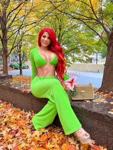 Carolina, 28, Latina, in Al Nahda Dubai, Dubai, from AED 9,400 an hour, speaks Spanish and Portuguese — photo 39 of 54